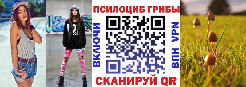 Галлюциногенные грибы мицелий  Белозерск 
